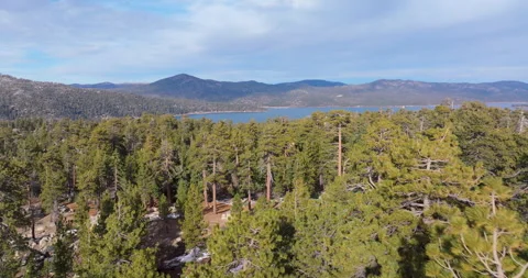 Flying over pine forest with lake and mountains Stock Footage 329901483