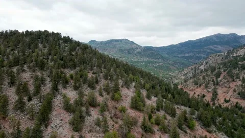 Flying over a pine forest in the mountains in cloudy weather 4k Video stock 213614454
