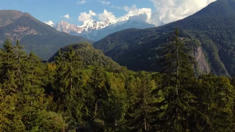 Flying over a pine forest towards a snowy mountains range Video stock 152047157