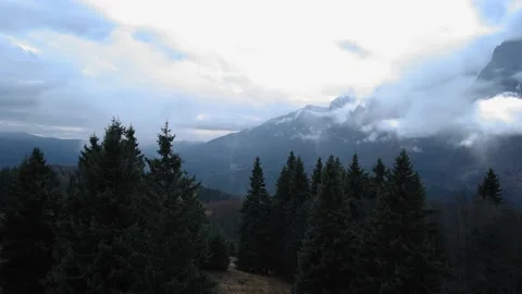Flying over a pine forest towards a misty mountain background Stock Footage 167667322