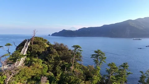 Flying Over Pine Trees to Reveal Koganezaki Coast │ Drone Aerial Forward 4K Stock Footage 326081949