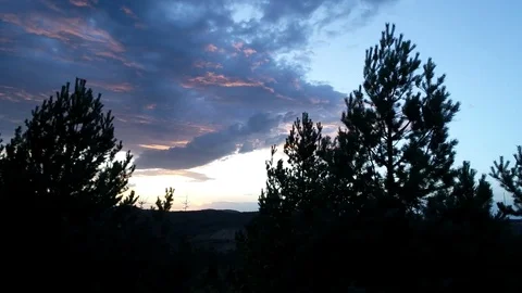 Flying over pine trees in sunset Stock Footage