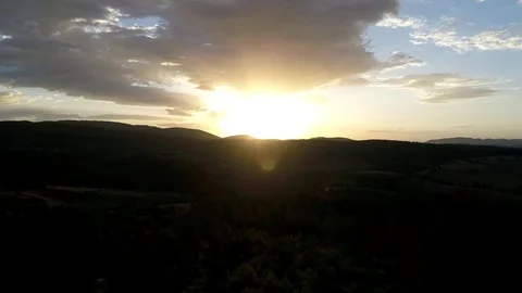 Flying over pine trees in sunset Stock Footage