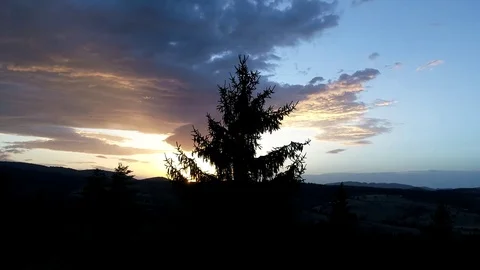 Flying over pine trees in sunset Stock Footage