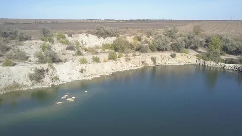 Flying over the pit lake with sandy shore Video stock 120480471