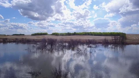 Flying over a pond Stock Footage 77719544