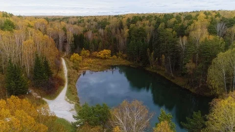 Flying over pond 스톡 동영상 98041543