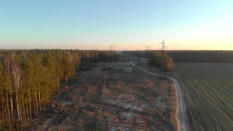 Flying over power lines along a plot in a picturesque Sunny forest in late 스톡 동영상 130365851