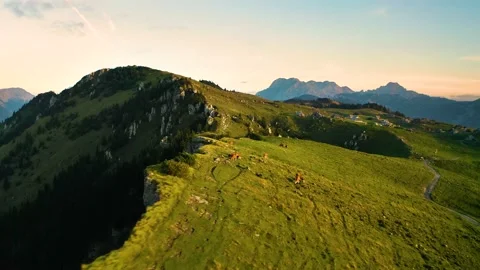 Flying Over Precipice and Cow's Herd. Mountain Village And Alps in Background. Stockbeeldmateriaal 144175944