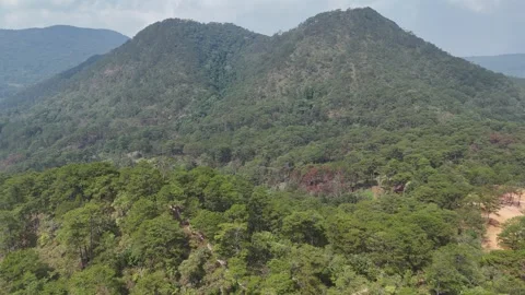 Flying Over Pristine Pine Hills Toward Wild Twin Mountains 動画素材 337013064
