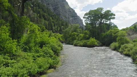 Flying over Provo River, gorgeous mountain vista approaching Upper Falls Bridge 스톡 동영상 248174859