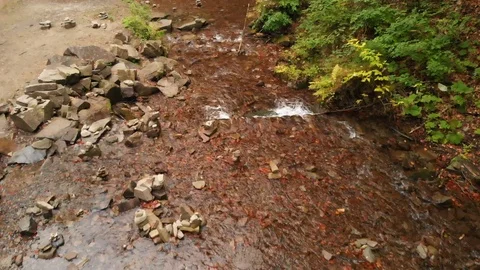 Flying Over Pure Mountain Stream. Yellow Leaves in the Water Stock Footage 106580327