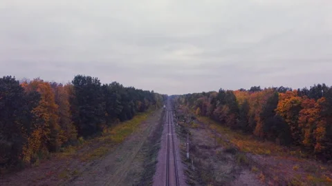 Flying over a railway with a missing train, flying over rails inside a forest, a Stock Footage 162010872