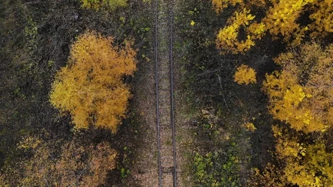 Flying over the railway that passes through the forest. Autumn. Aerial view Stock Footage 97600045