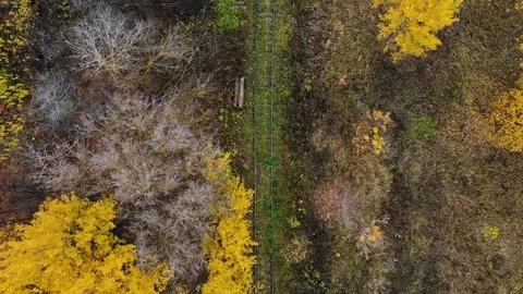 Flying over the railway that passes through the forest. Autumn. Aerial view. 4K Stock Footage 97602162
