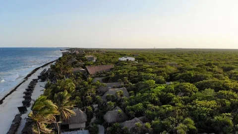 Flying over the rainforest at Tulum beach at sunset Stock Footage 94331102