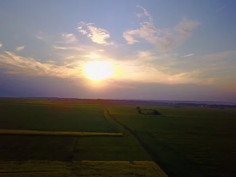 Flying over the rapeseed field at sunset, aerial drone shot Stock Footage 81813545