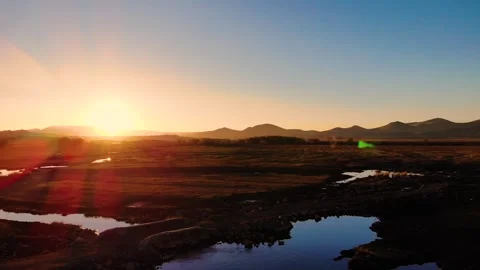 Flying over the Reed Field at Sunset Stock Footage 270183318