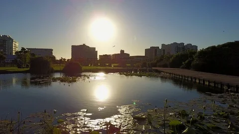 Flying Over Reflective Pool In City Park With Birds [Drone Footage] Stock Footage 90934836