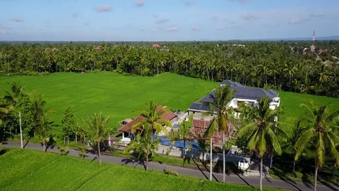Flying over rice fields Stock Footage 74026857