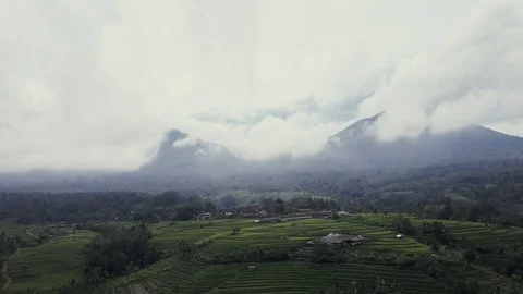 Flying over rice fields 動画素材 77079958