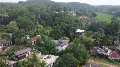 Flying over rice fields Mirissa Video stock 327529981
