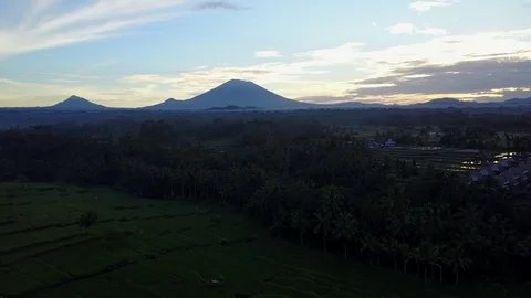 Flying over rice fields with volcano view Stock Footage 74026998