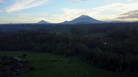 Flying over rice fields with volcano view Stock Footage 74027428