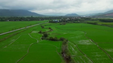 Flying over the rice-fileds between landscapes 4K Video in Vietnam Stock Footage 235813458