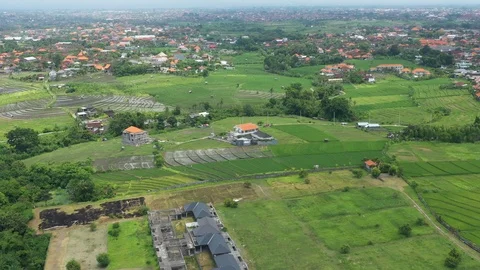 Flying over Rice Paddy fields in a residential area in Bali Indonesia. Stock Footage 101148041