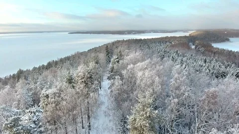 Flying over the ridge above road in the forest Stock Footage 101487940