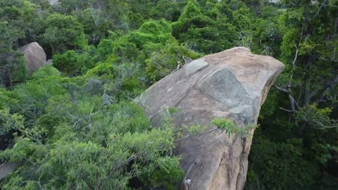 Flying over ringtailed lemurs in the Madagascar jungle Vídeo Stock 255320146