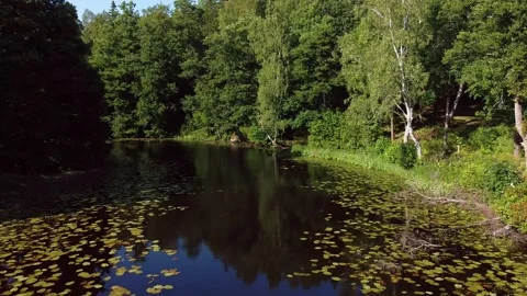 Flying over the river 1 - 15 sec Stock-Footage 136053090