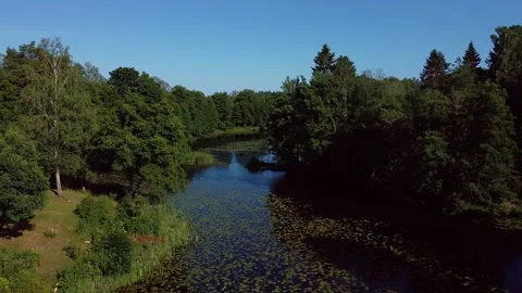 Flying over the river 2 - 15 sec Stock-Footage 136053094