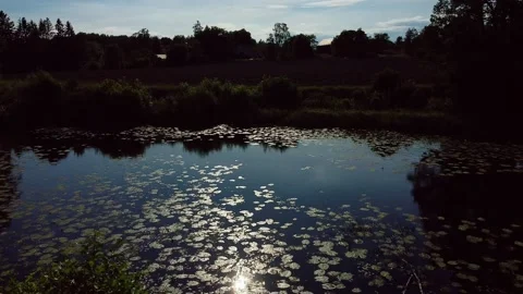 Flying over the river 3 - 15 sec Stock-Footage 136053093