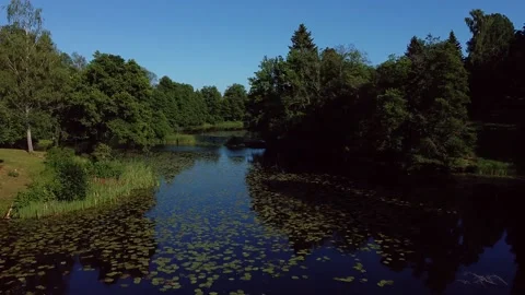 Flying over the river 4 - 15 sec Stock-Footage 136053091