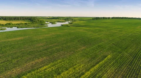 Flying over river and fields Vídeo Stock 51445662