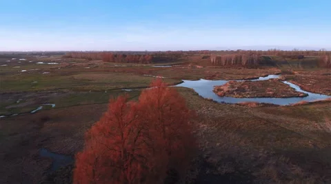 Flying Over River and Fields in Autumn Stock Footage 58800517