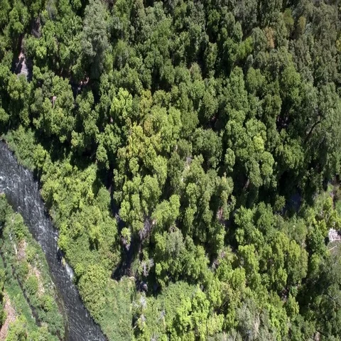 Flying over river and forest looking down Stock Footage 69727638