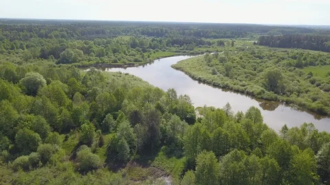 Flying over river and forest Stock Footage 91543703
