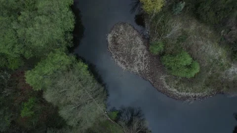 Flying over the river and forest Video stock 177582913
