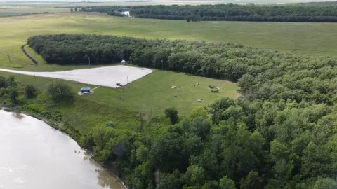 Flying over river and forest at Beaudry provincial park in Manitoba Stock Footage 204964383