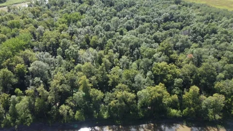 Flying over river and forest and parking lot at Beaudry provincial park Stock Footage 204992558