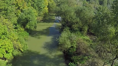 Flying over river and green forest like a Jungle, AERIAL Vídeo Stock 60405126