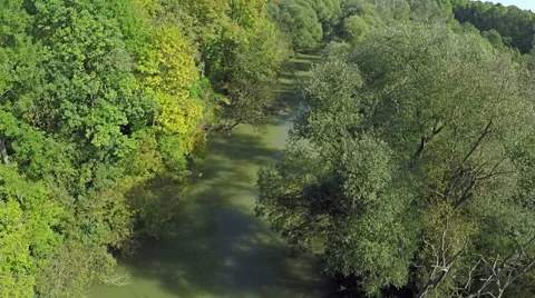 Flying over river and green forest like a Jungle, AERIAL Video stock 60405190
