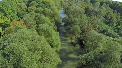 Flying over river and green forest like a Jungle, AERIAL Vidéo 60405367