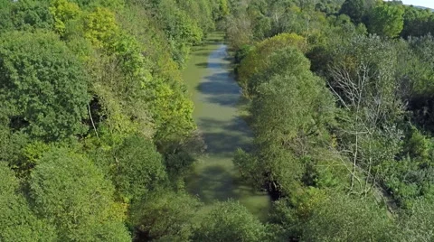 Flying over river and green forest like a Jungle, AERIAL Video stock 60405419