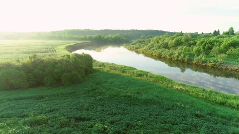 Flying over river and green forest at summer sunny day, sky reflecting in water. Stock Footage 136149459
