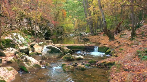 Flying over the river at Autumn  Stock Footage 137430180