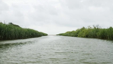 Flying Over River Between Green Fields Stock Footage 124302421